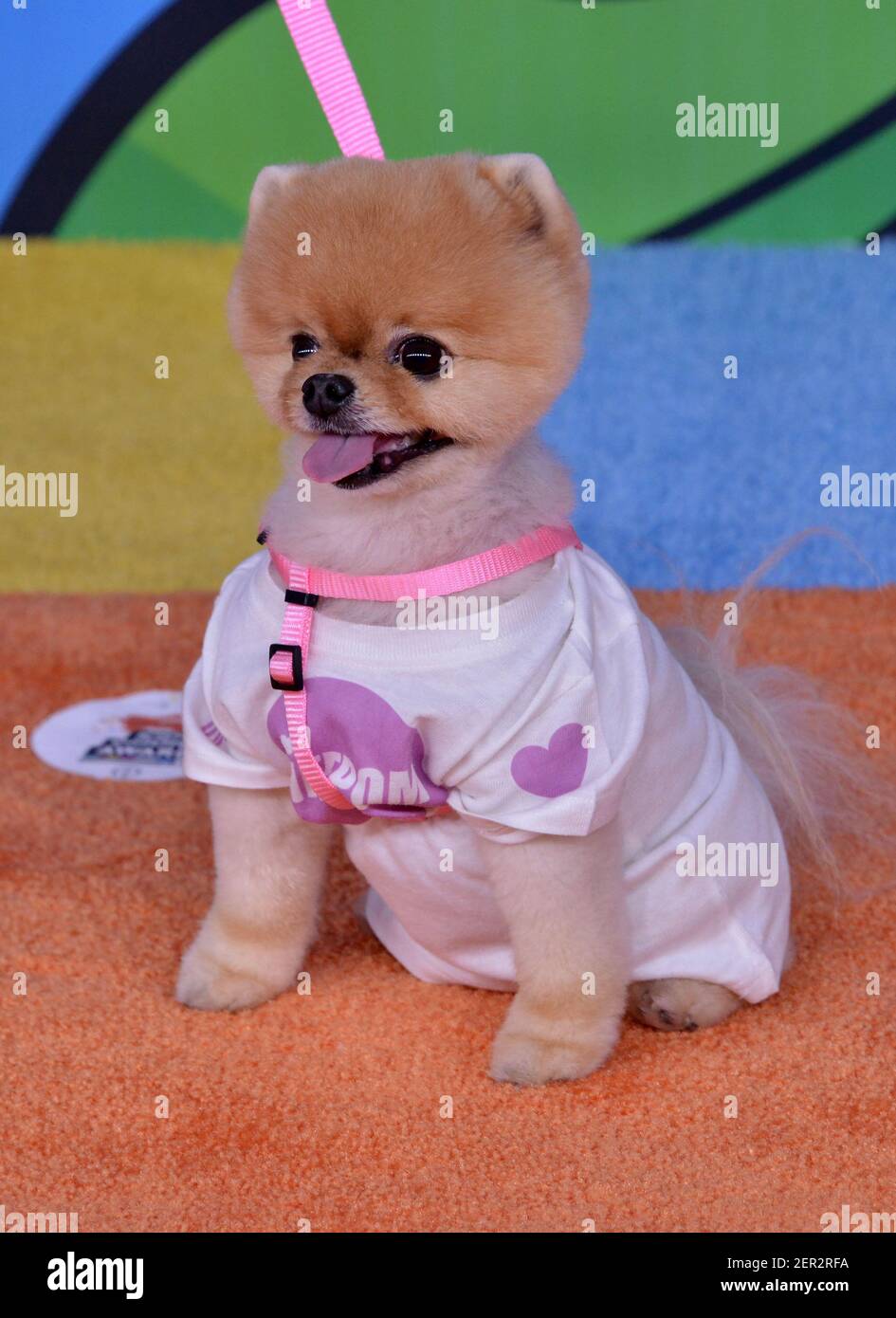 Jiffpom walking on the red carpet during the 2018 Nickelodeon Kids