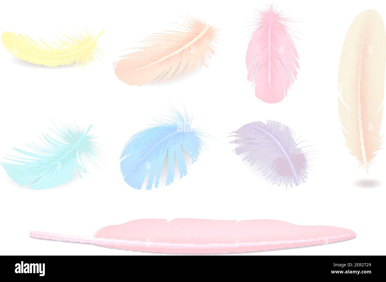 Colored elegant bird feathers realistic set isolated Stock Vector Image ...