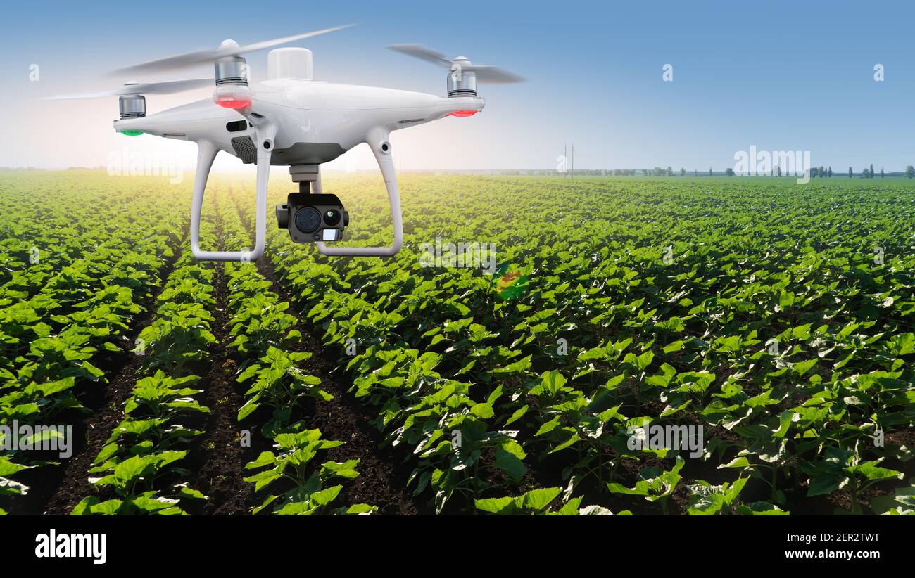Agricultural drone flying over a field . farming and precision Stock Photo - Alamy