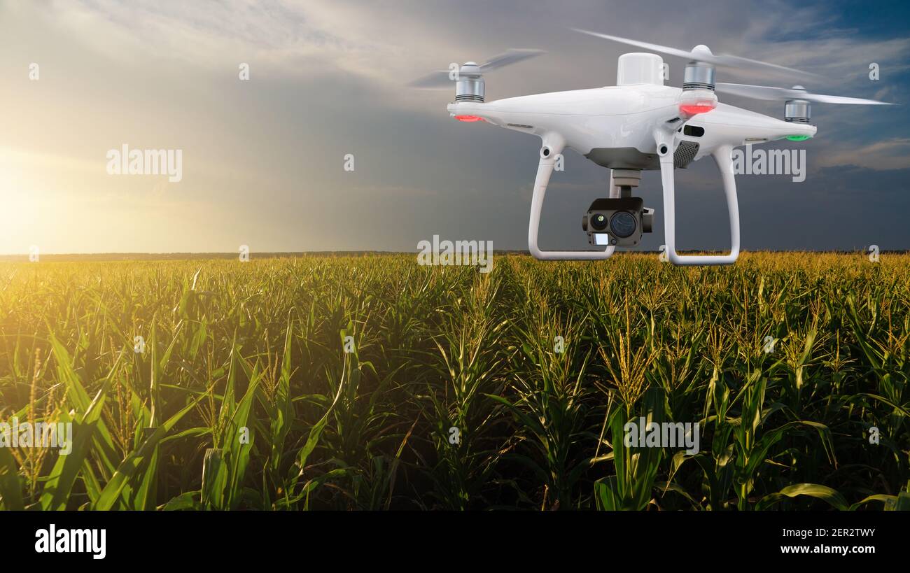 Agricultural drone flying over a field . Smart farming and precision agriculture Stock Photo