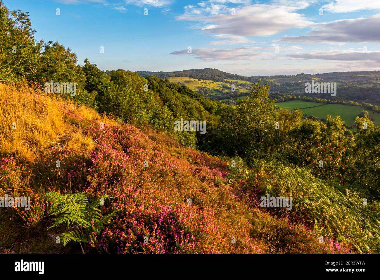 View over landscape at Starholmes near Matlock in the Derbyshire Dales Peak District England UK with trees in late summer colour. Stock Photo
