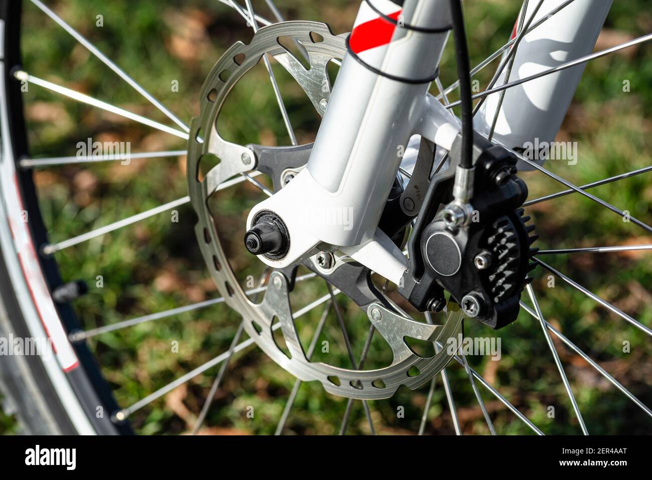 Hydraulic front disc brake on mountain bike with bicycle hub, caliper and  spokes Stock Photo - Alamy