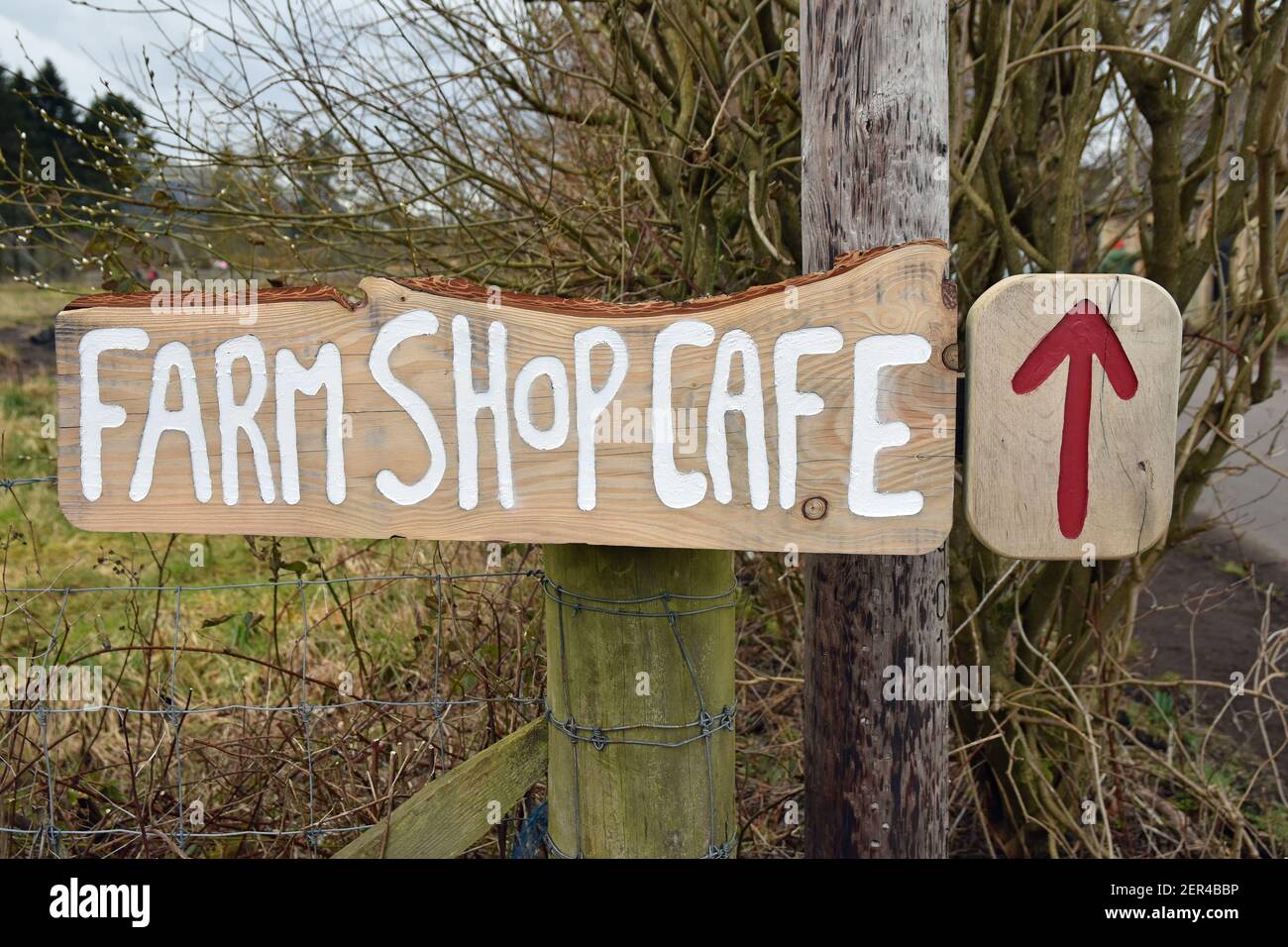 Rustic Farm Shop Cafe sign with arrow. Pillars of Hercules, Falkland