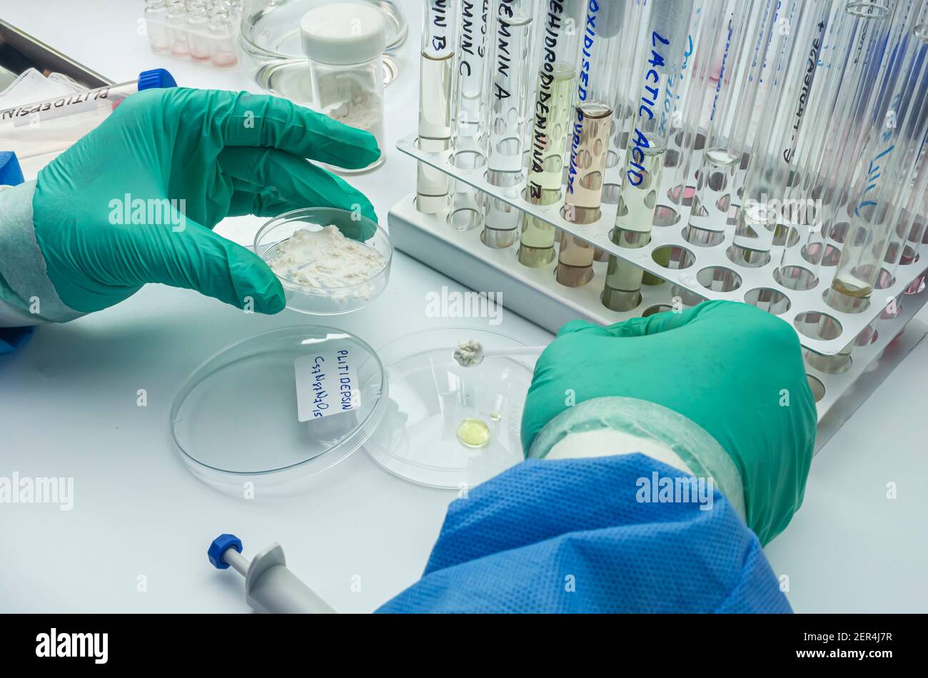 Scientist working in lab with antiviral plitidepsin chemical compound,  This formulation has a much more potent antiviral efficacy against SARS-CoV-2 Stock Photo
