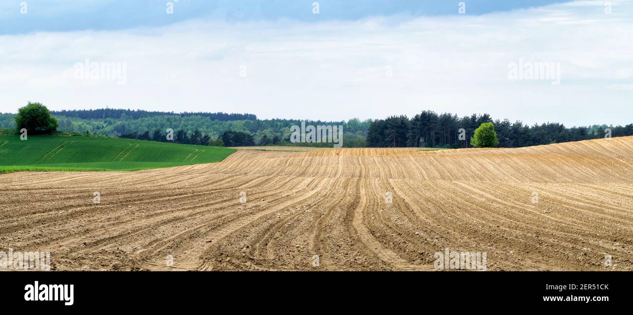 Plowed field in spring in hilly terrain with forest in background. Blue ...