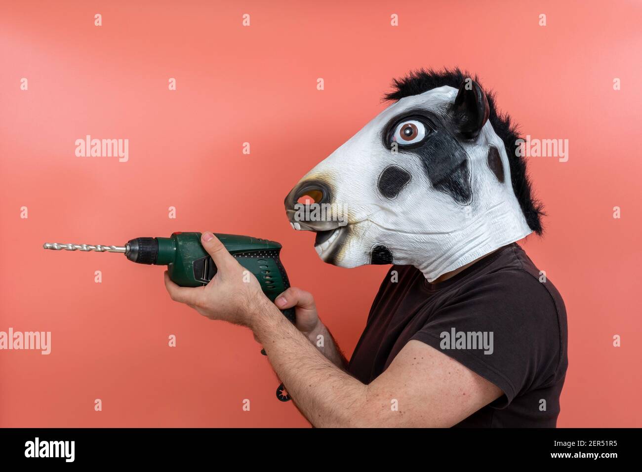 costumed person in cow mask using a drill at a pink background Stock Photo