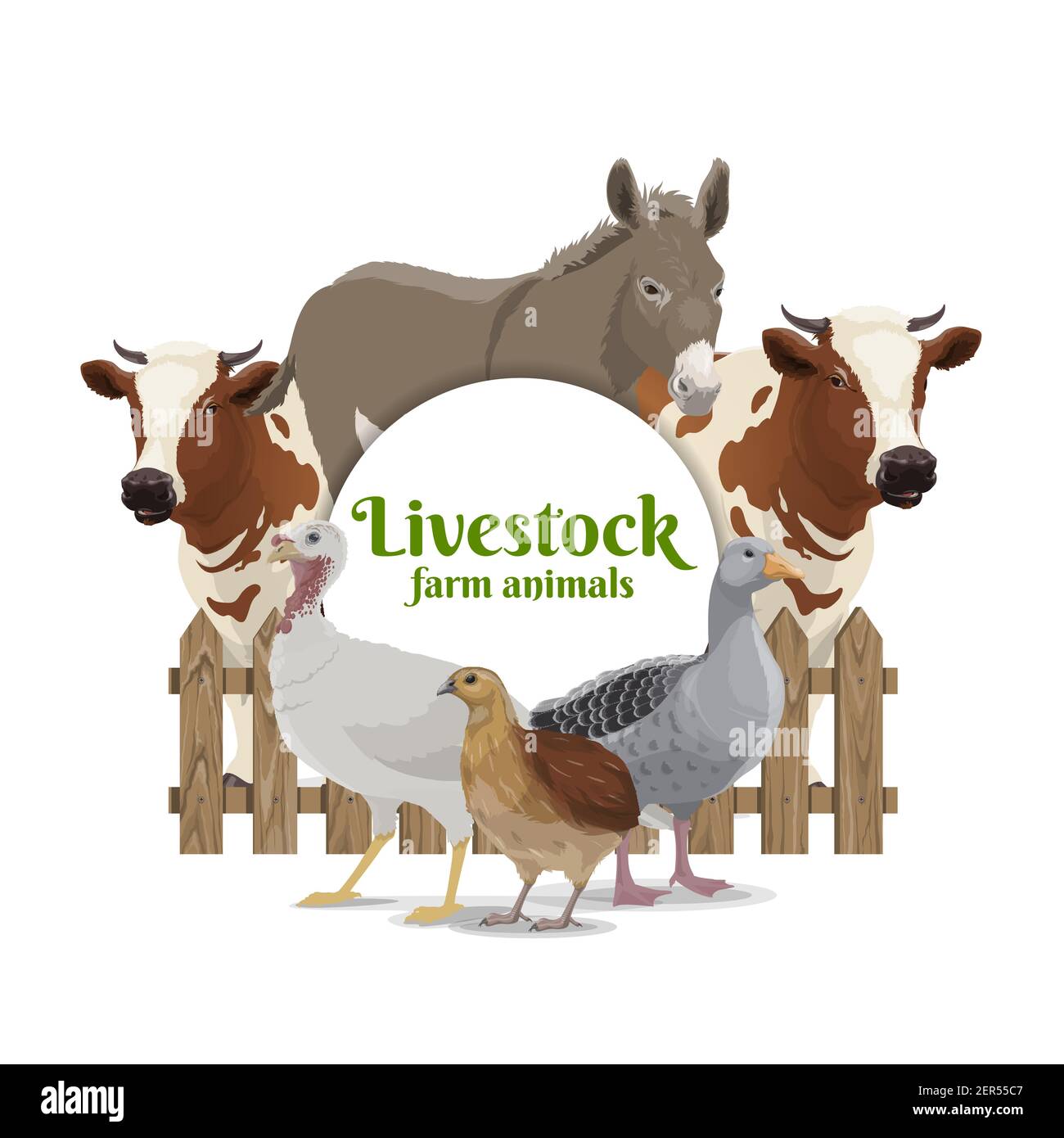 Farm animals, livestock and poultry banner. Donkey, cow or bull behind wooden fence, turkey, goose and quail vector. Farm beef and milk cattle, birds Stock Vector Image & Art - Alamy Farm animals, livestock and poultry banner. Donkey, cow or bull behind wooden fence, turkey, goose and quail vector. Farm beef and milk cattle, birds Stock Vector Image & Art - Alamy