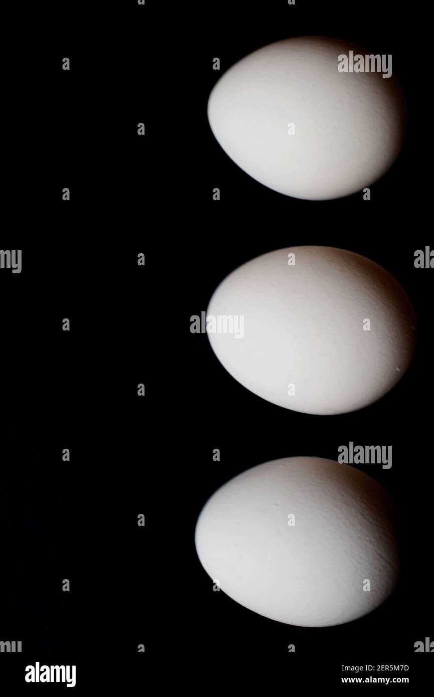 Three white organic eggs in a row on dark blue background. Stock Photo