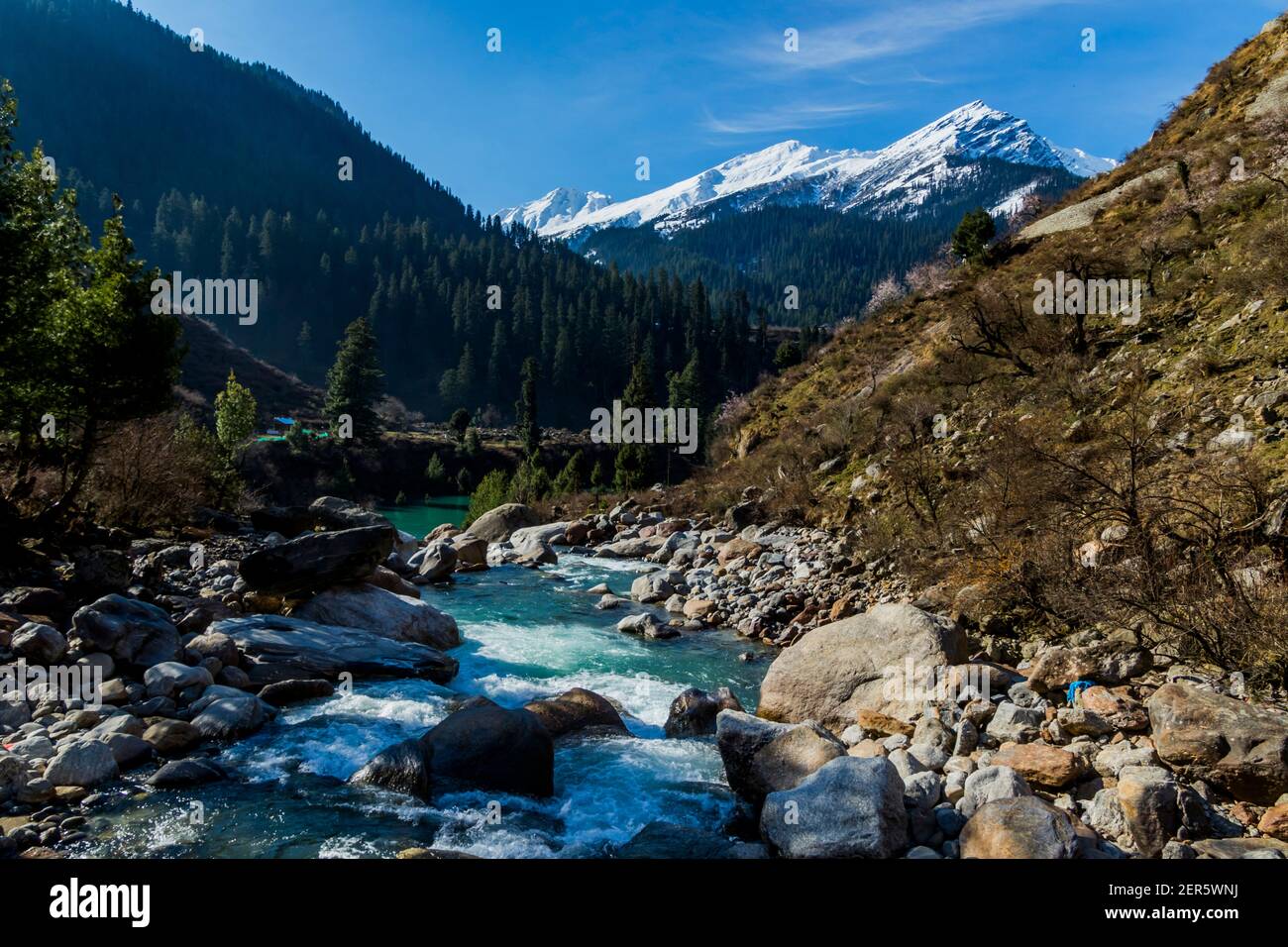 Barshani Barshaini hi-res stock photography and images - Alamy