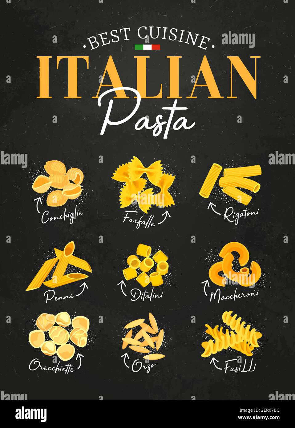 Delicious italian pasta types of high quality Vector Image