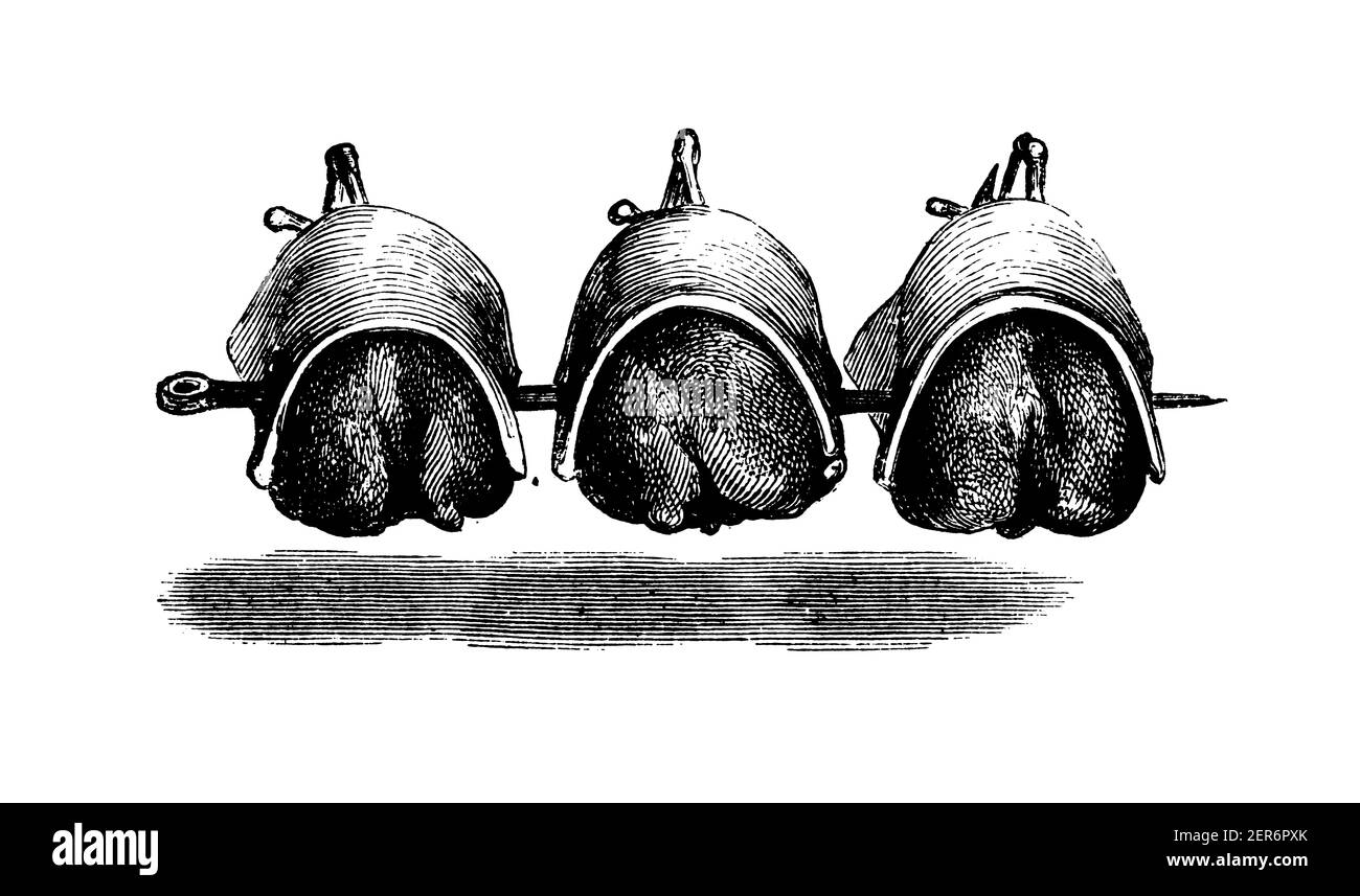 Antique illustration of chickens cooked on rotisserie. Published in Le livre de cuisine, par Jules Goufe, Librarie Hachette et Cie (Paris, 1874). Stock Photo