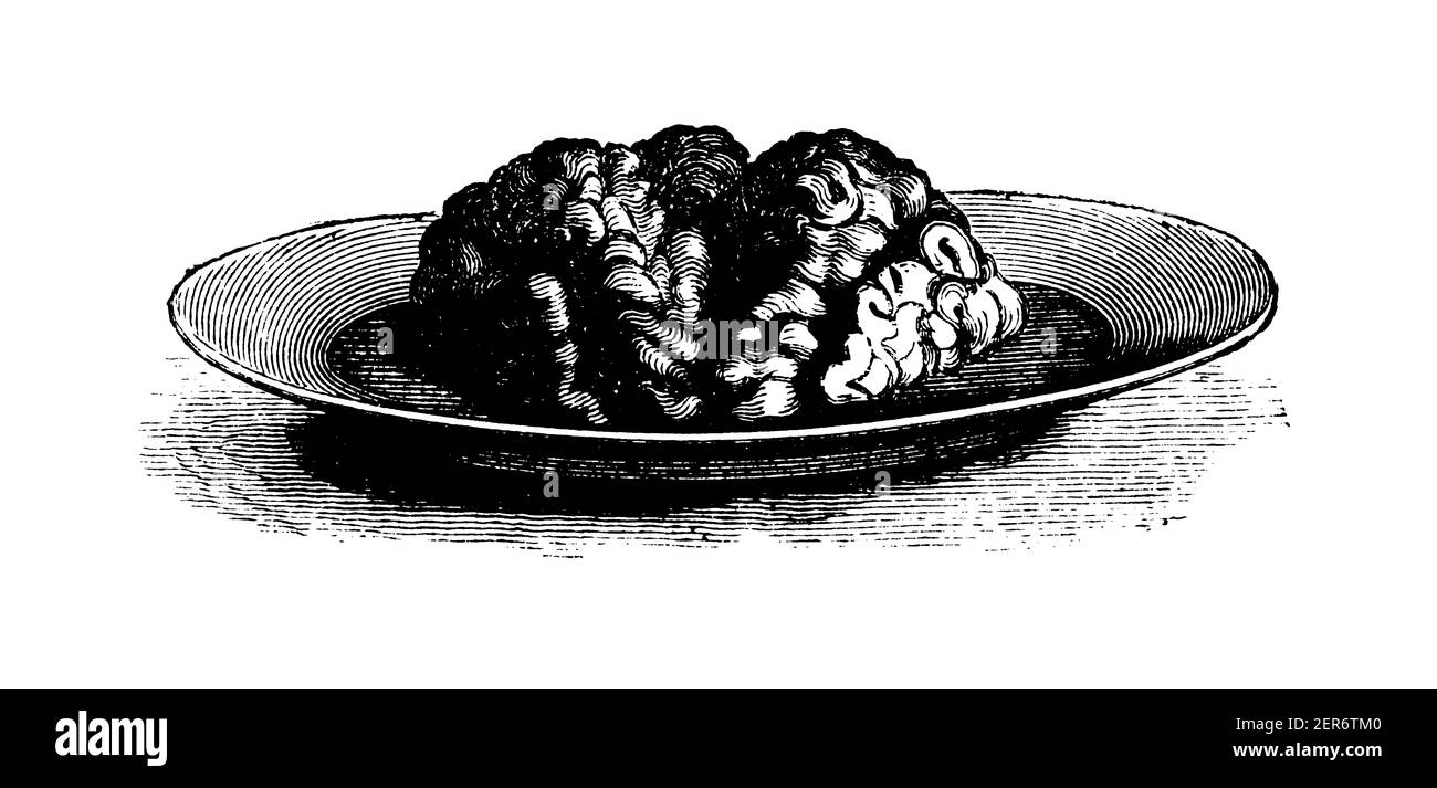 Antique illustration of veal brain. Published in Le livre de cuisine, par Jules Goufe, Librarie Hachette et Cie (Paris, 1874). Stock Photo
