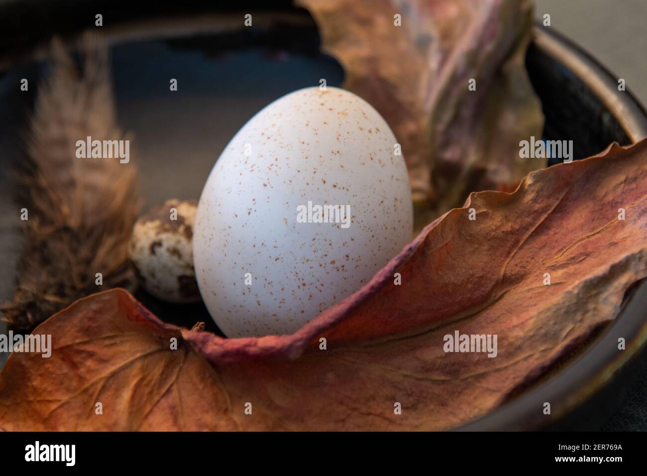 easter eggs stylish draped Stock Photo Alamy easter eggs stylish draped Stock Photo Alamy