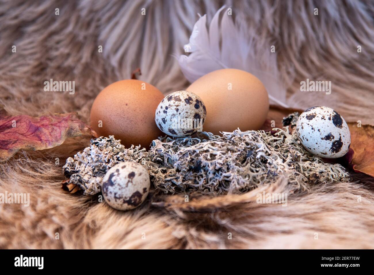 easter decoration stylish Stock Photo Alamy easter decoration stylish Stock Photo Alamy