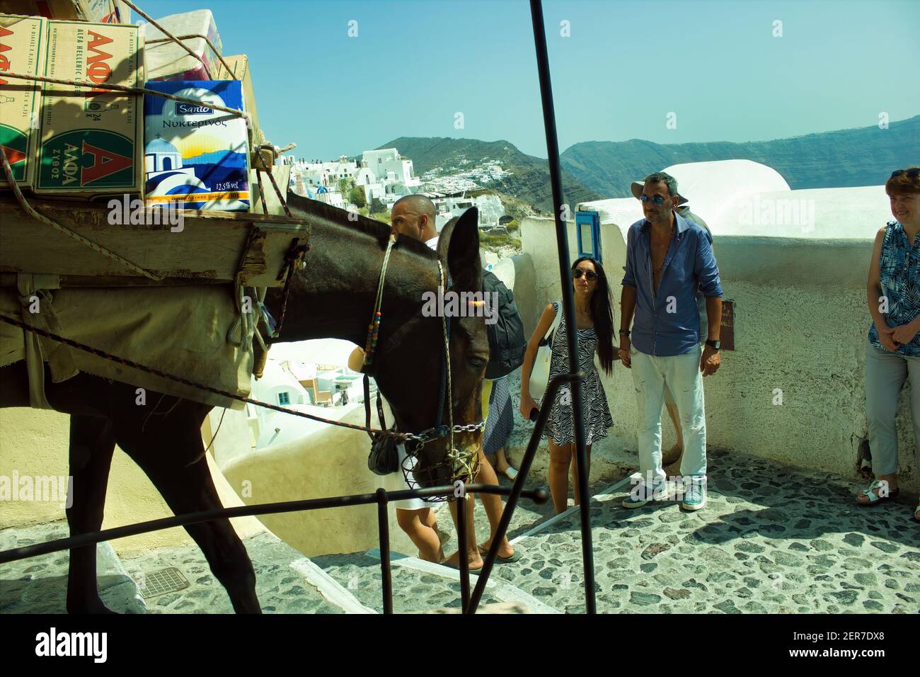Santorini, Greece - September 11, 2017: A donkey or mule carrying weight of luggage, Luggage porter uses a donkey to navigate the narrow and steep pat Stock Photo