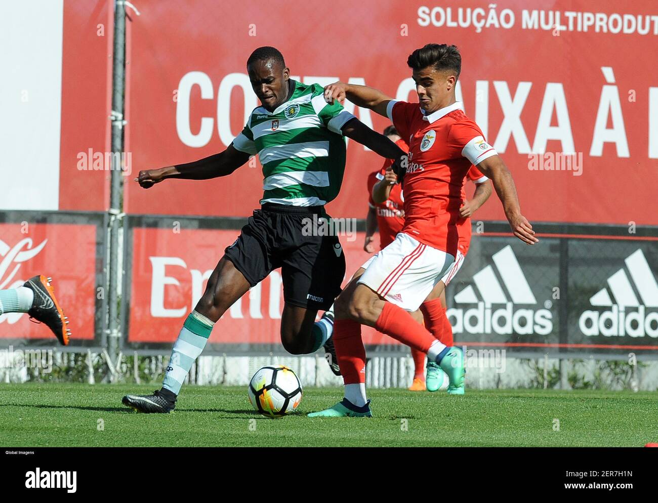 Sporting Benfica Jogo 2 Meia-final Campeonato - SL Benfica