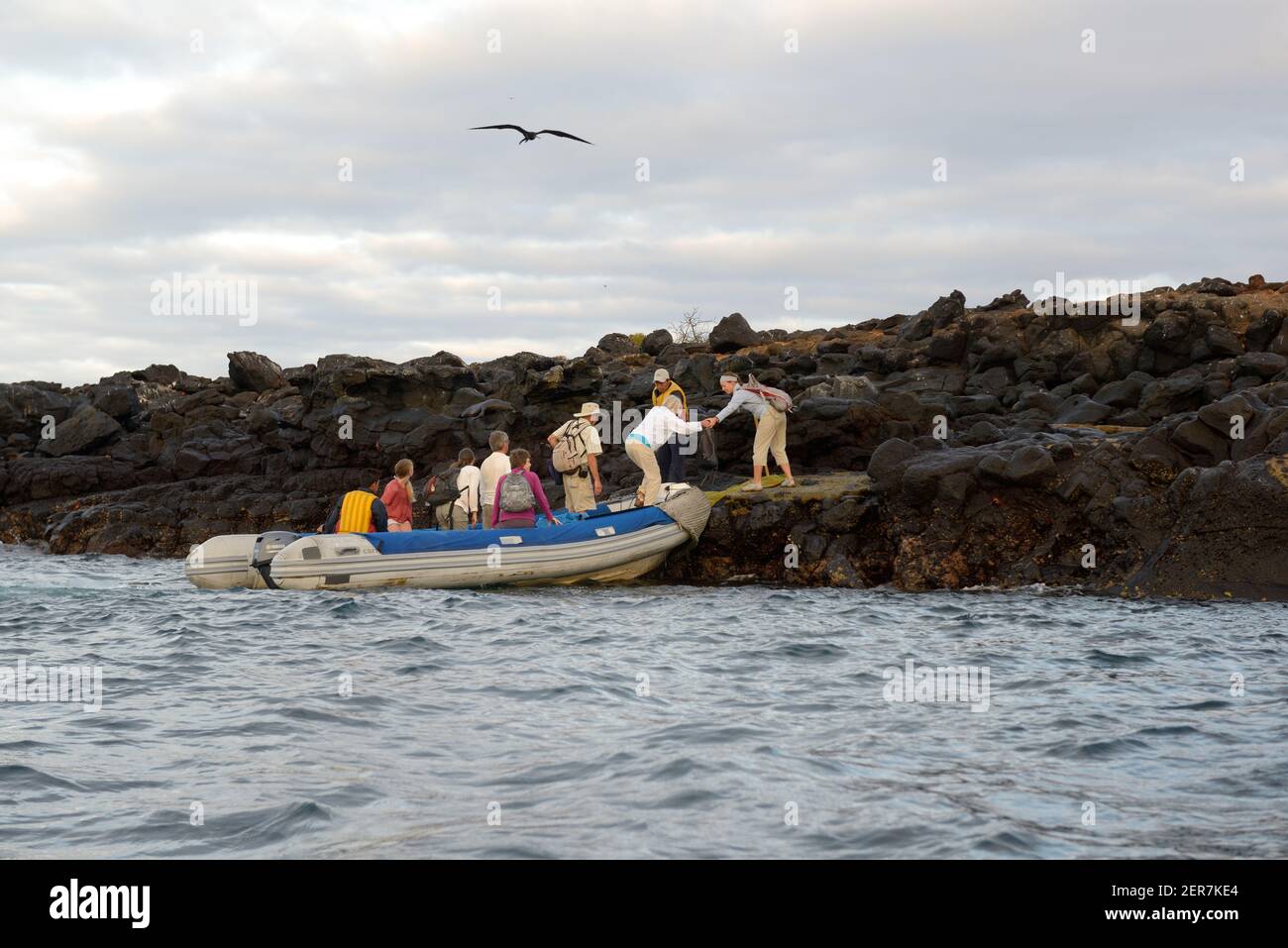 Panga disembarking tourists, North Seymour Island, Galapagos Islands, Ecuador Stock Photo