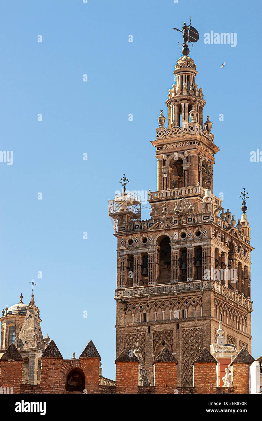 Giralda tower (La Giralda) a tall bell tower as part of the Seville Cathedral. The facade has Proverb 18 inscription close to the top. There are bronz Stock Photo