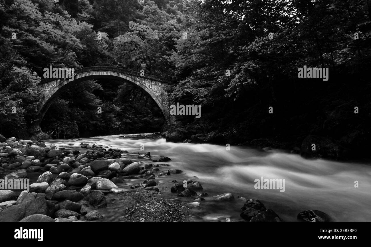 Autumn trees around bridge and river Stock Photo