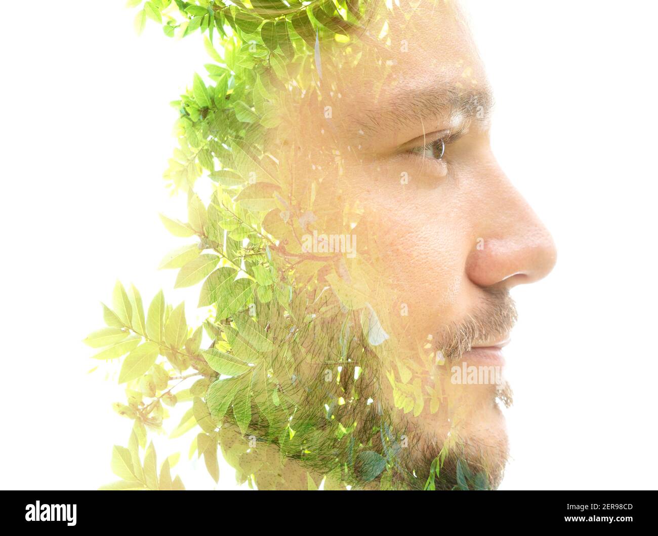 A man's profile portrait combined with a tree double exposure Stock ...