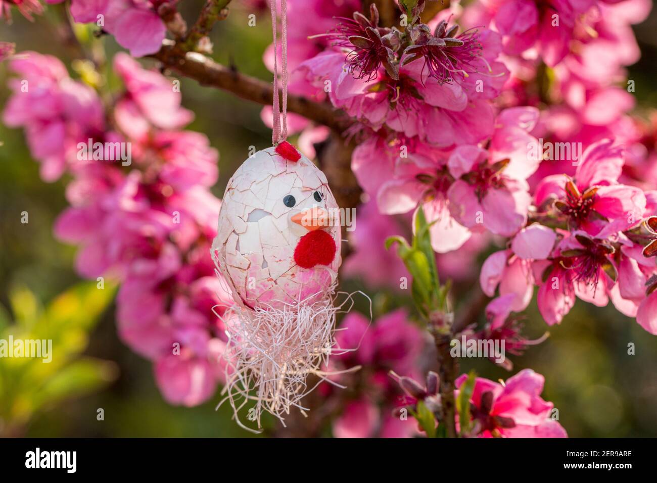 Decorative Easter egg hanging on flowering cherry tree with pink flowers. Easter banner background Stock Photo