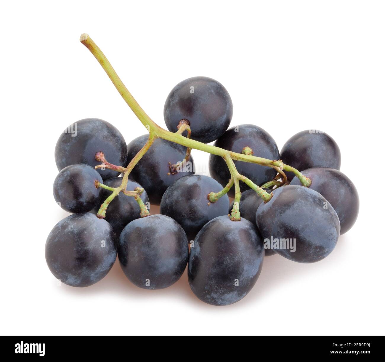 blue grape path isolated on white Stock Photo - Alamy