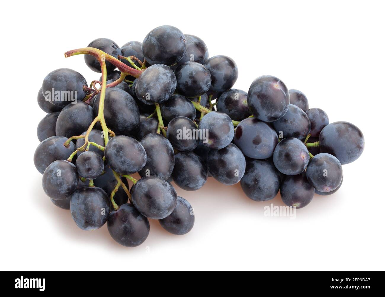 blue grape path isolated on white Stock Photo - Alamy