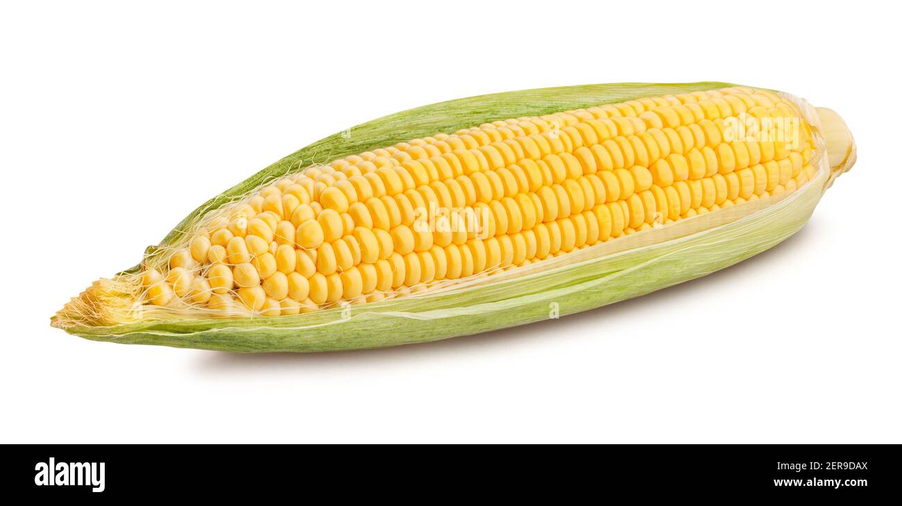 corn path isolated on white Stock Photo