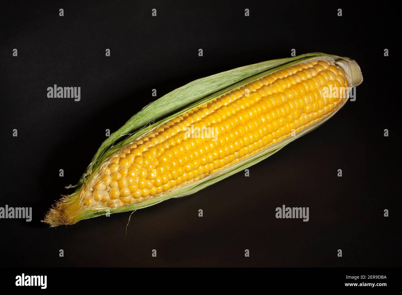 corn cob on black background Stock Photo