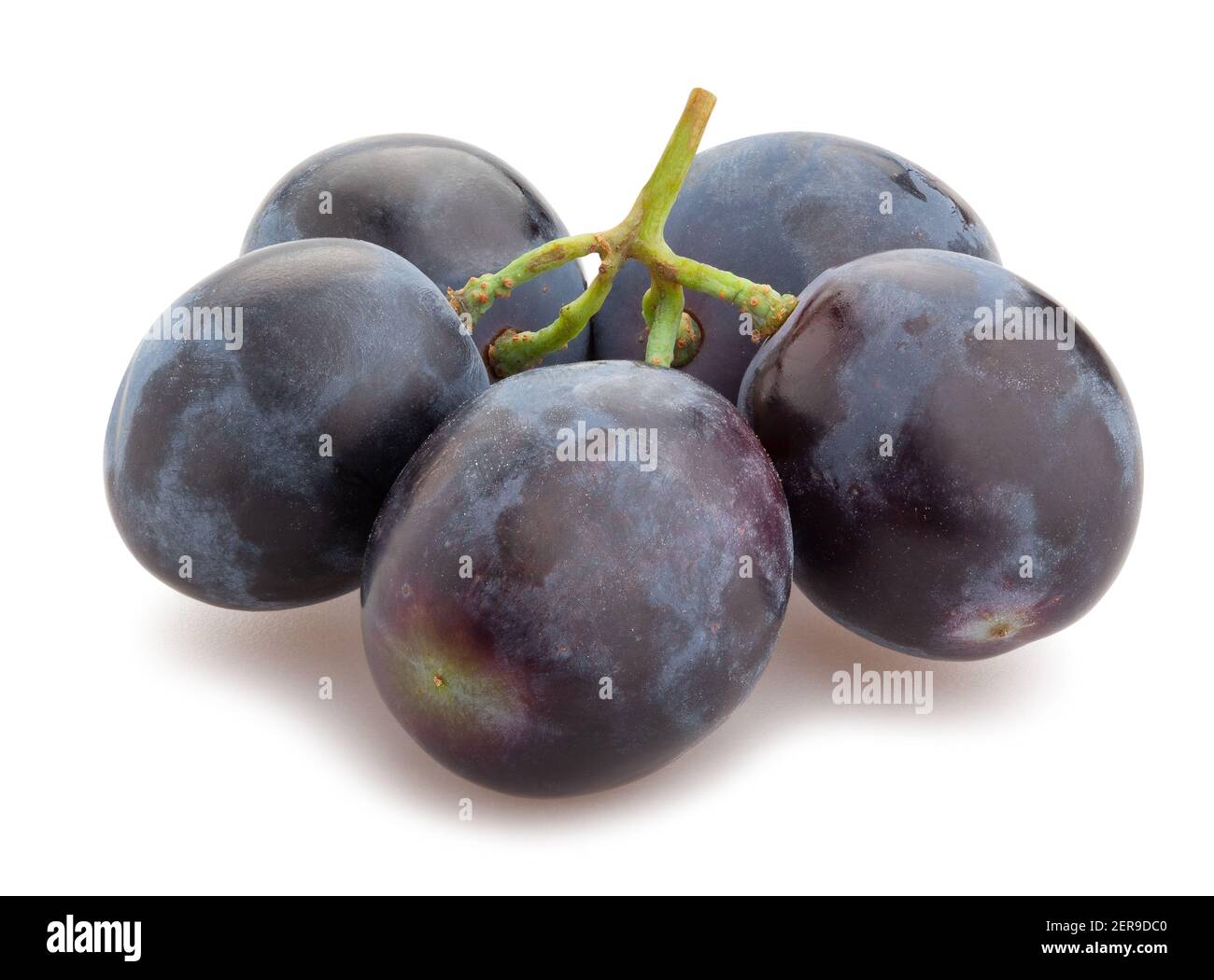 blue grape path isolated on white Stock Photo - Alamy
