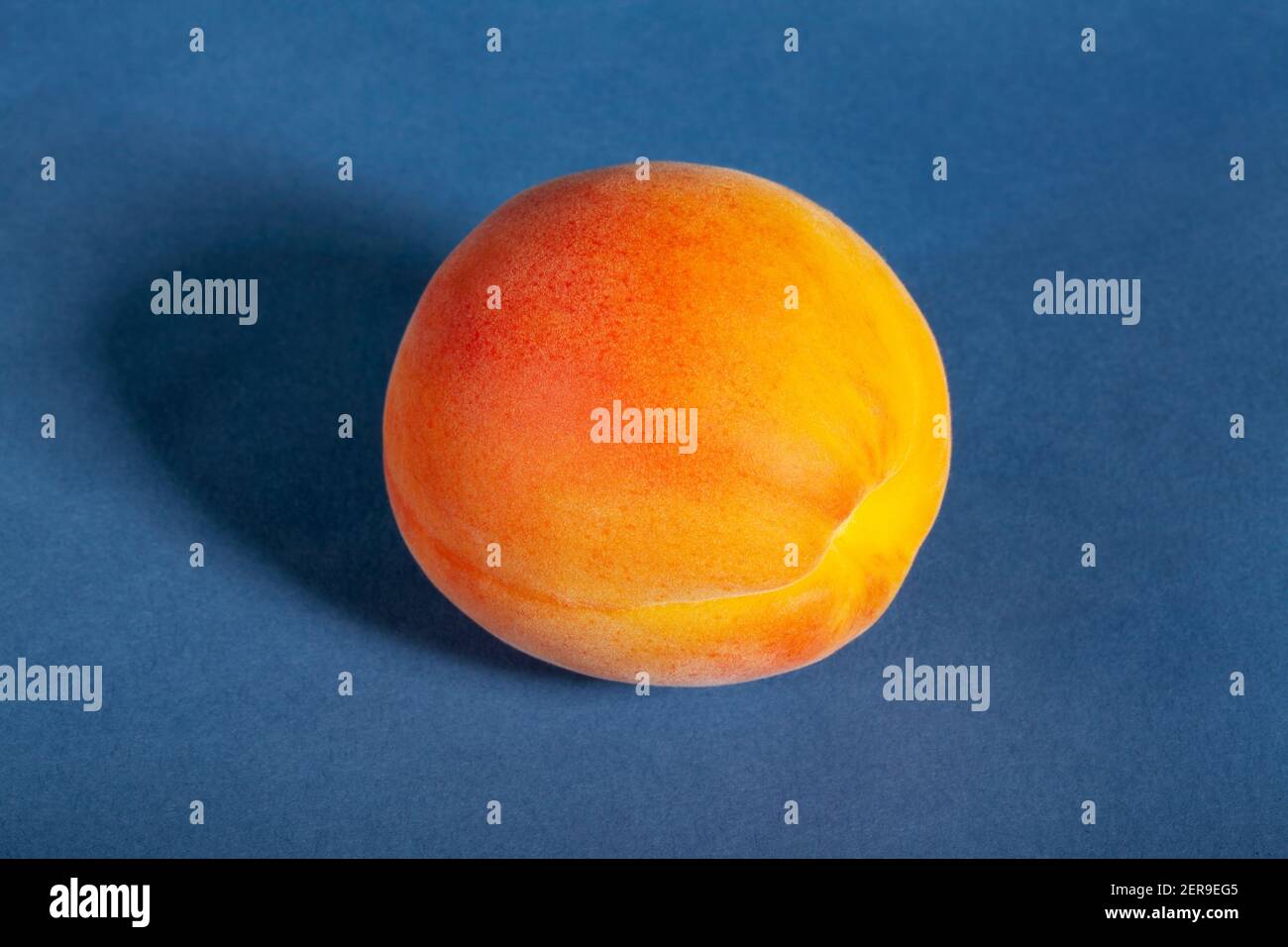 one apricot on blue background Stock Photo