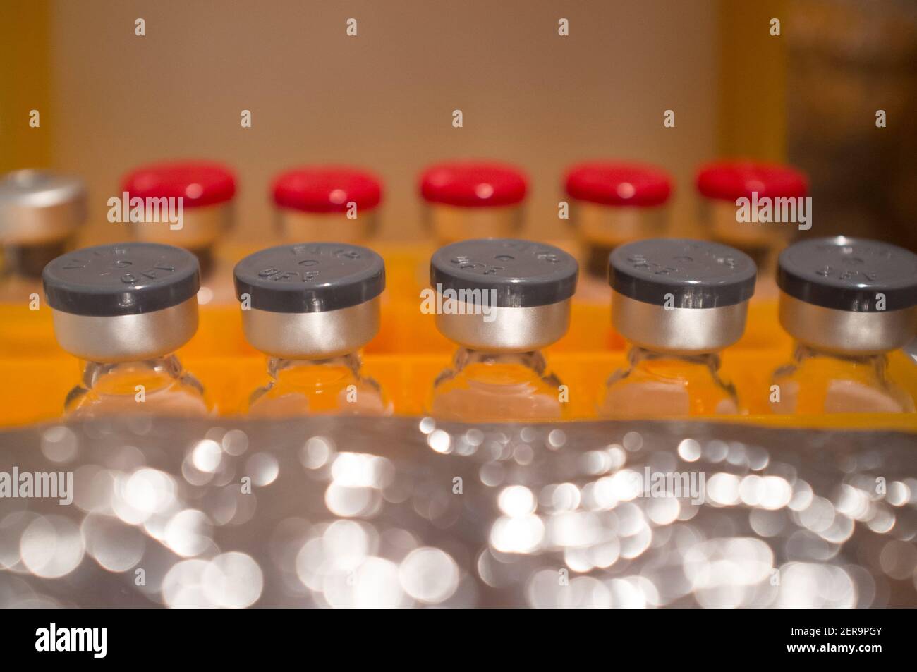 Vaccine ampules or glass vials preserved in cool-box. Selective focus Stock Photo