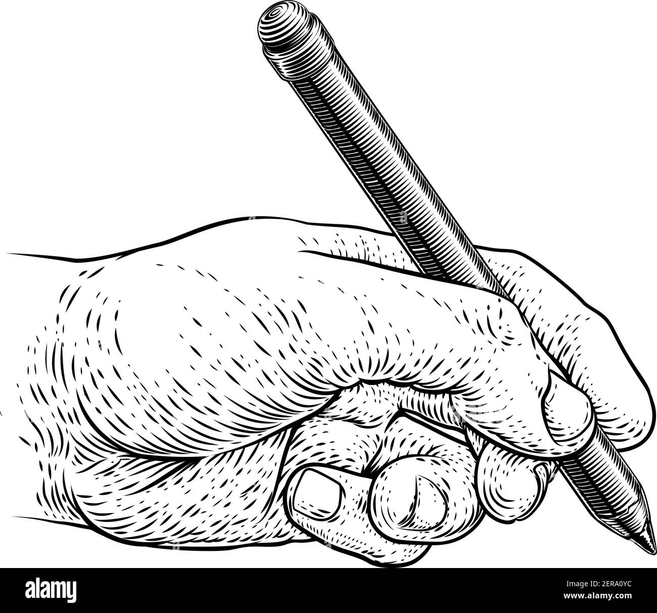 Pencil Hand Vintage Engraved Etched Woodcut Print Stock Vector Image