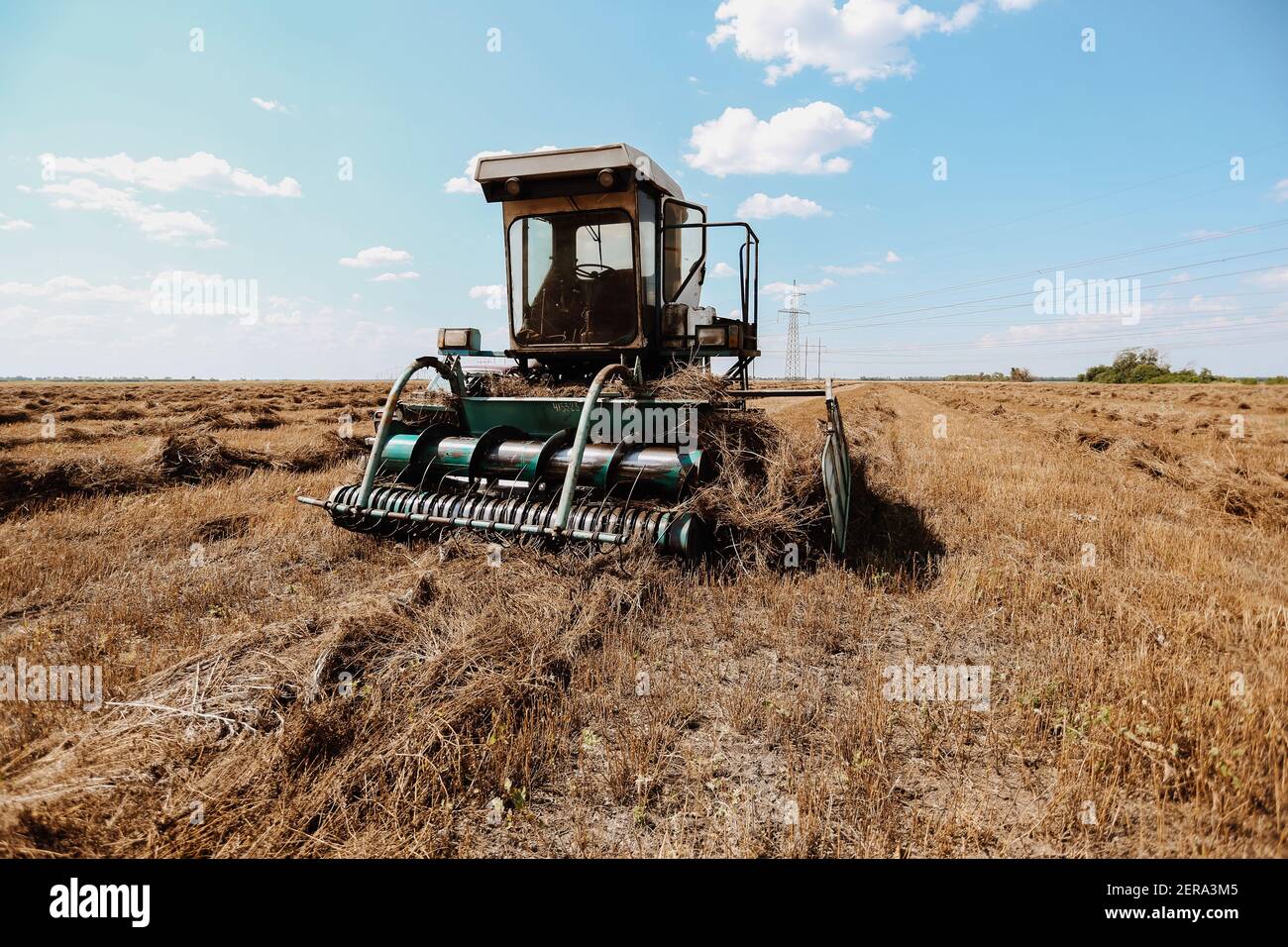 Phông nền đồng quê cánh đồng lúa mì với máy gặt cũ sẽ đưa bạn đến với không gian yên bình và thanh bình của miền quê. Với hình ảnh những cánh đồng rộng lớn tuyệt đẹp, phông nền đồng quê sẽ làm tăng sự chân thật và tự nhiên của tác phẩm của bạn.