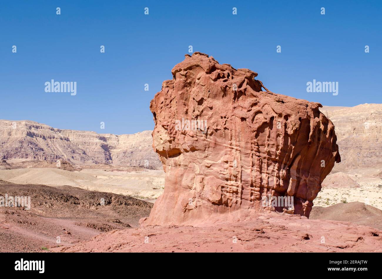 sandstone rock formation called the „Mushroom and a Half“, also „One and a Half Mushroom“, a popular sight and hike in Timna Park in southern Israel Stock Photo