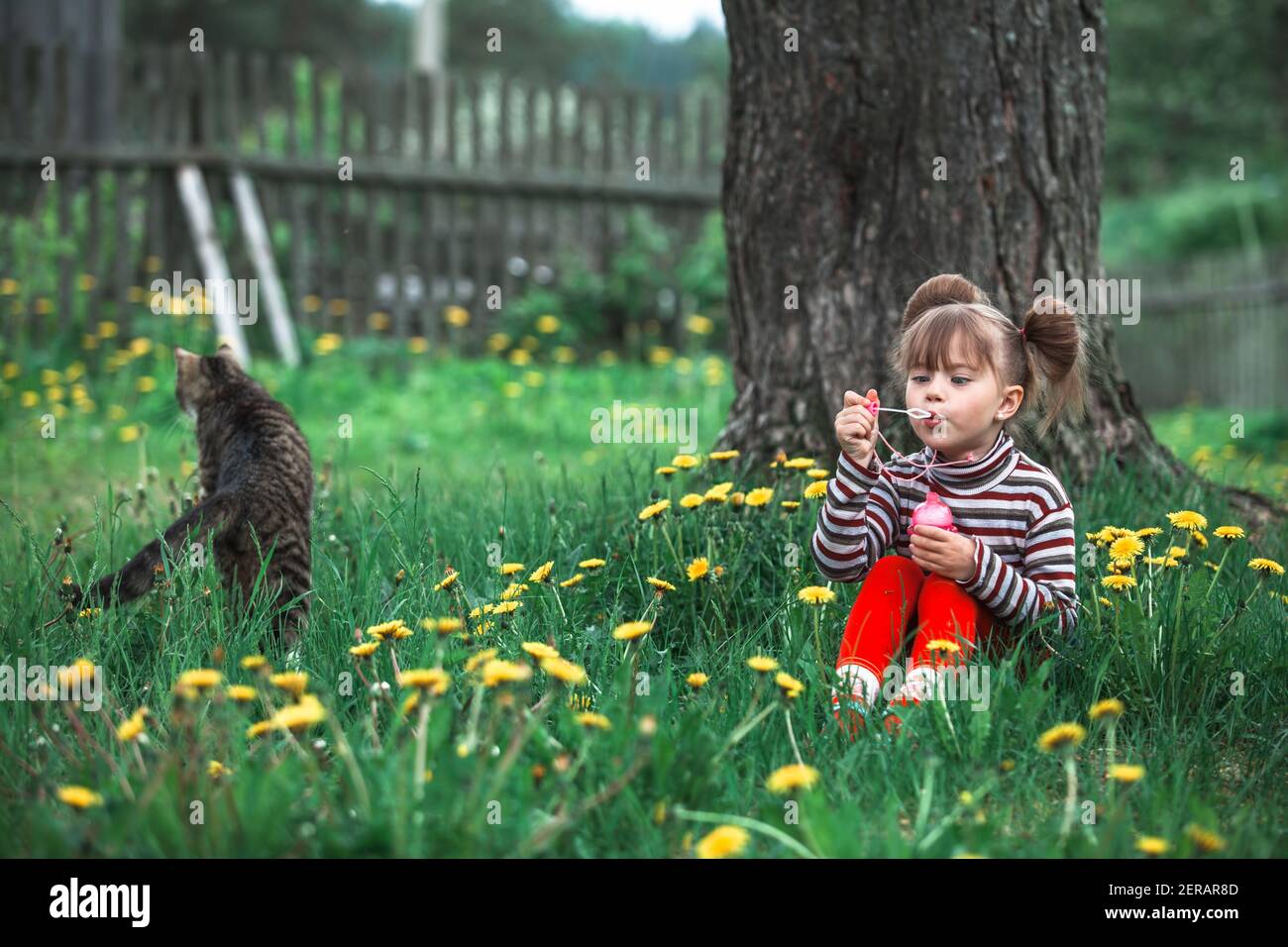 Little girl playing with a cat and soap bubbles in the green park at ...