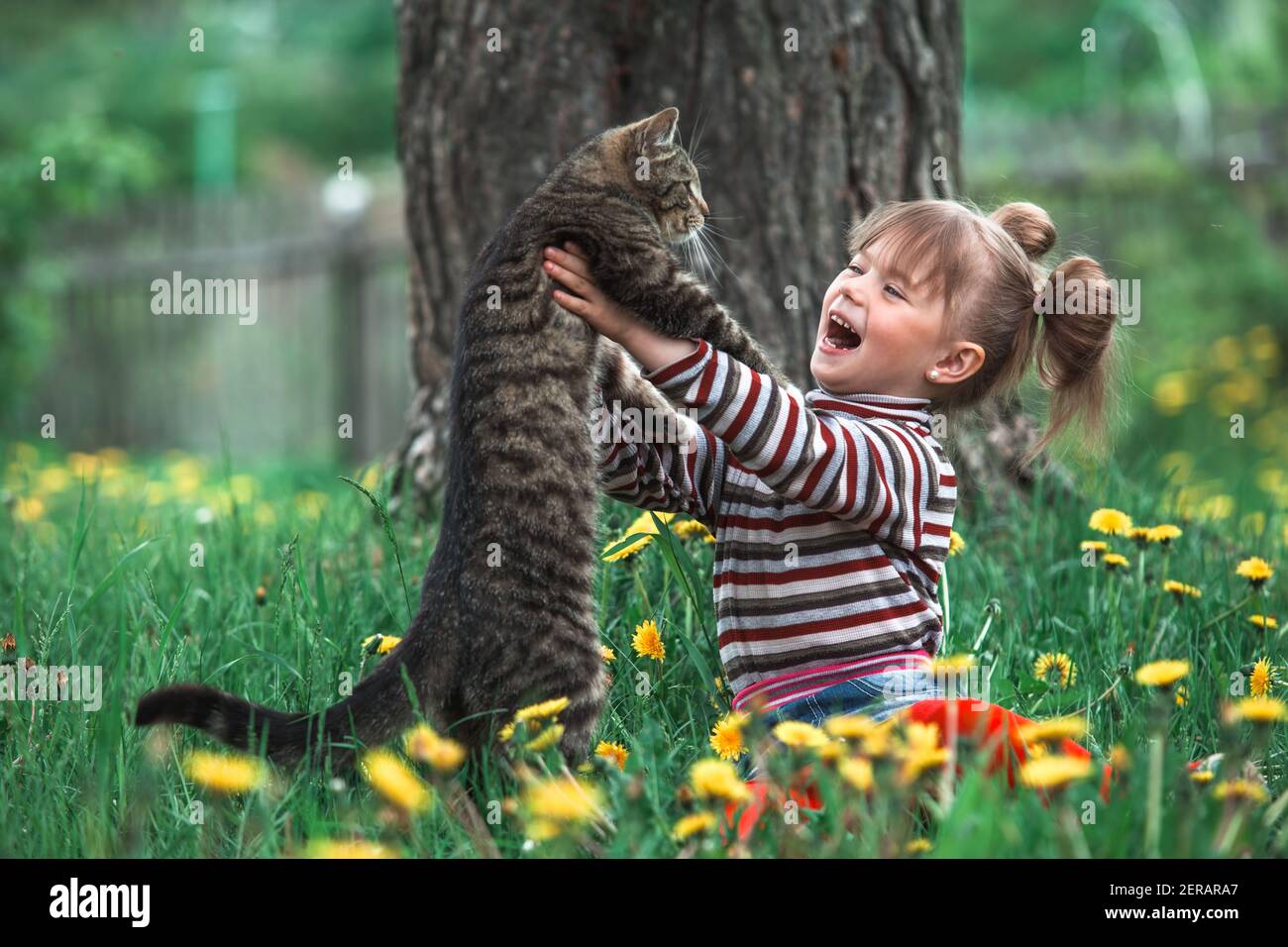 Little girl playing with a cat in the green park at summer Stock Photo ...