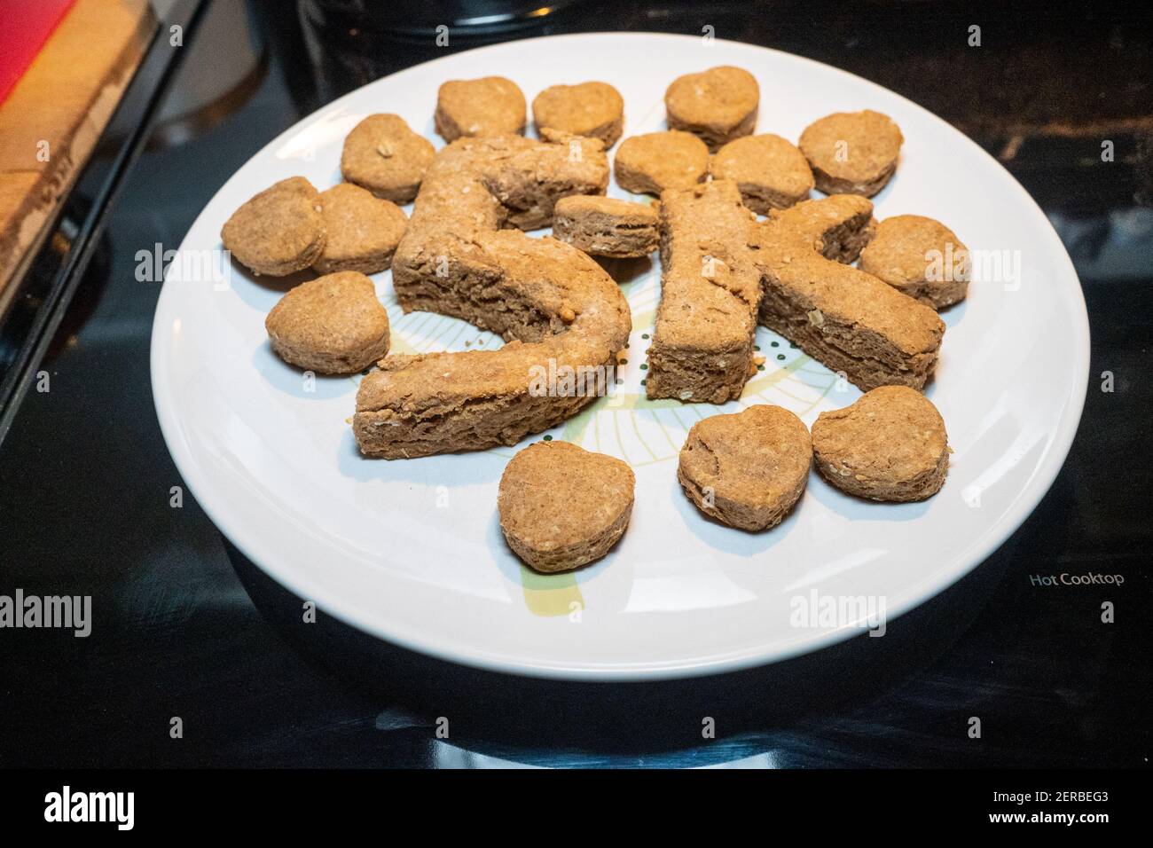 homemade yogurt dog treats