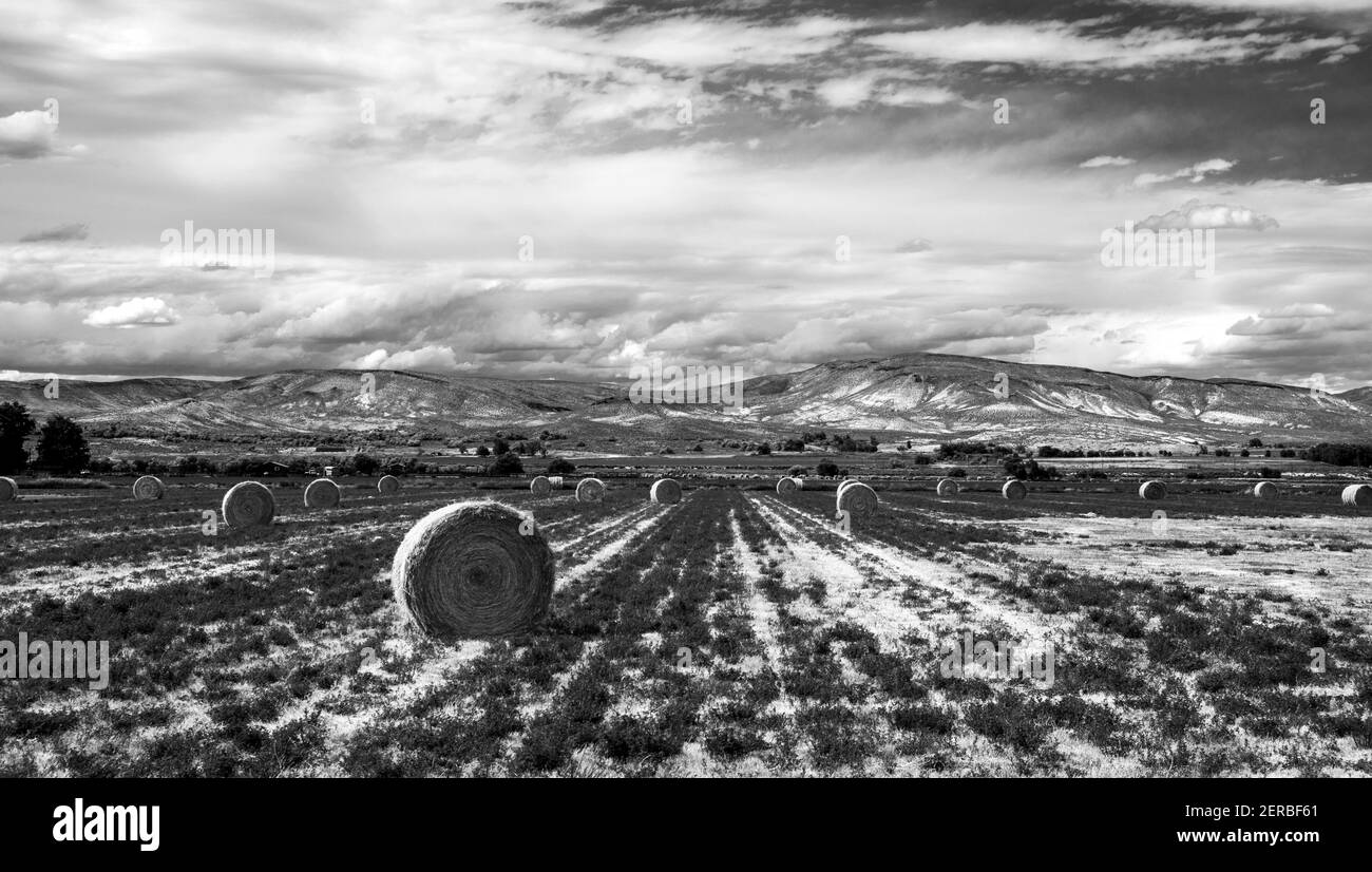 Bales of hay sitting in field near with dramatic clouds in sky above in Malheur County, Oregon Stock Photo