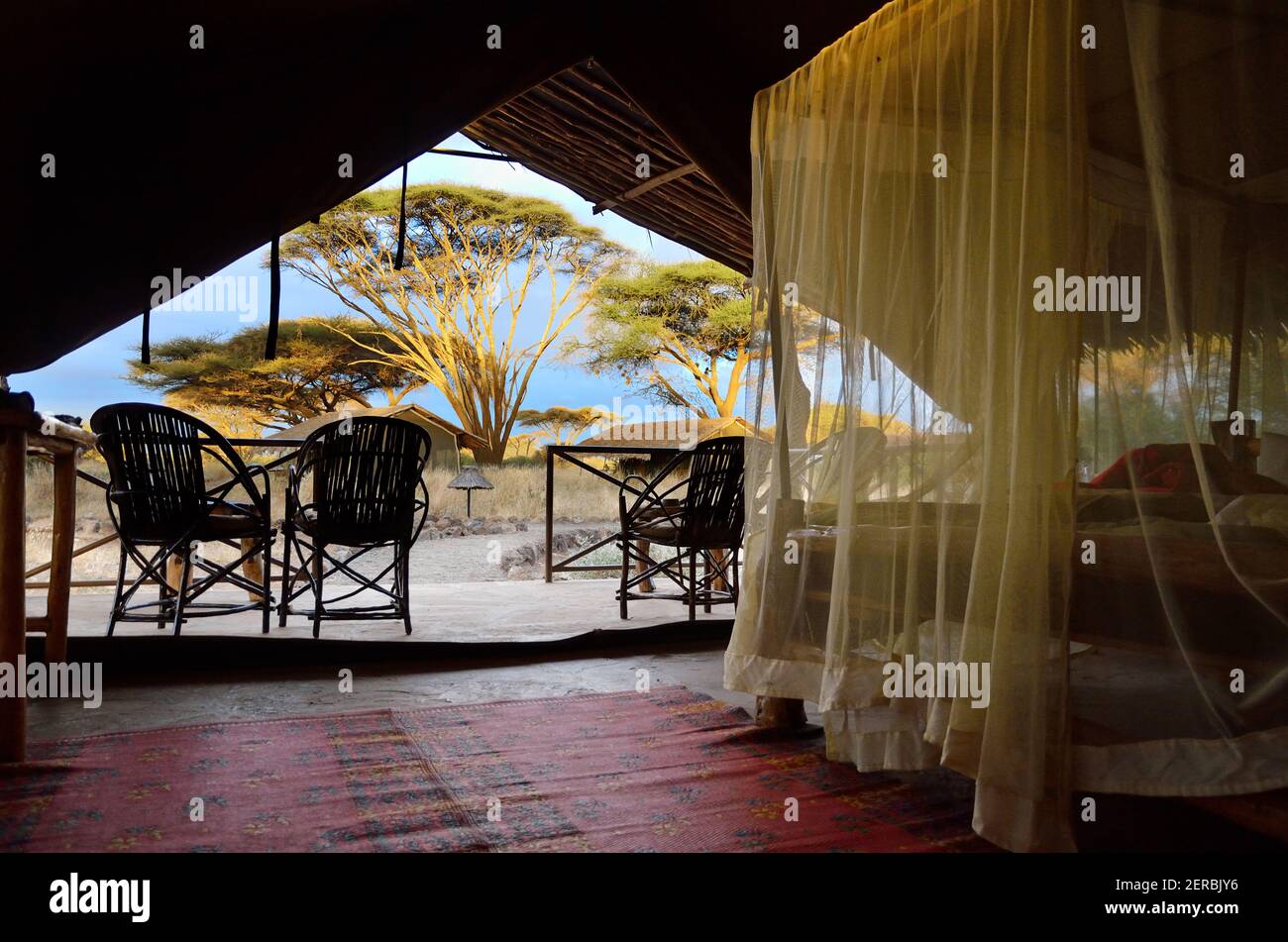 Kibo Safari Camp - Amboseli - Kenya 2012 Stock Photo