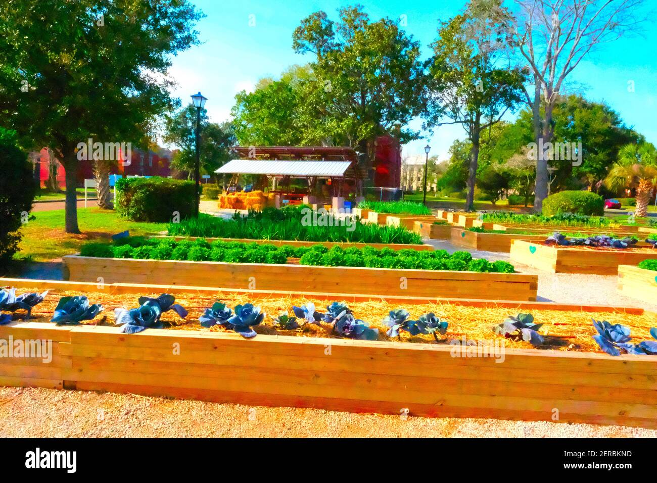 1850s William Enston homes for aged in Charleston, SC of Kent village