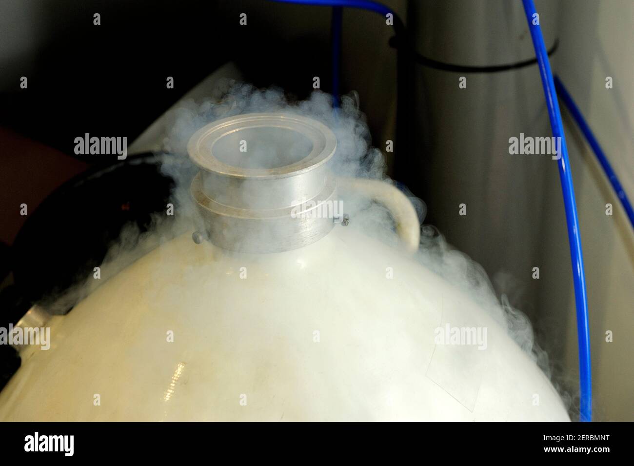 Liquid nitrogen container at Chemistry Stock Photo Alamy