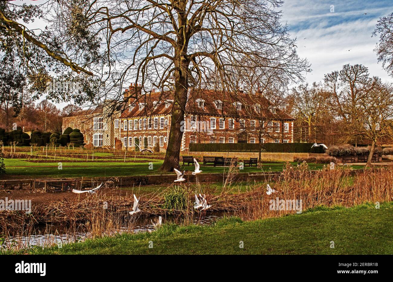 Hall Place with Black-headed Gulls over The river Cray. Stock Photo