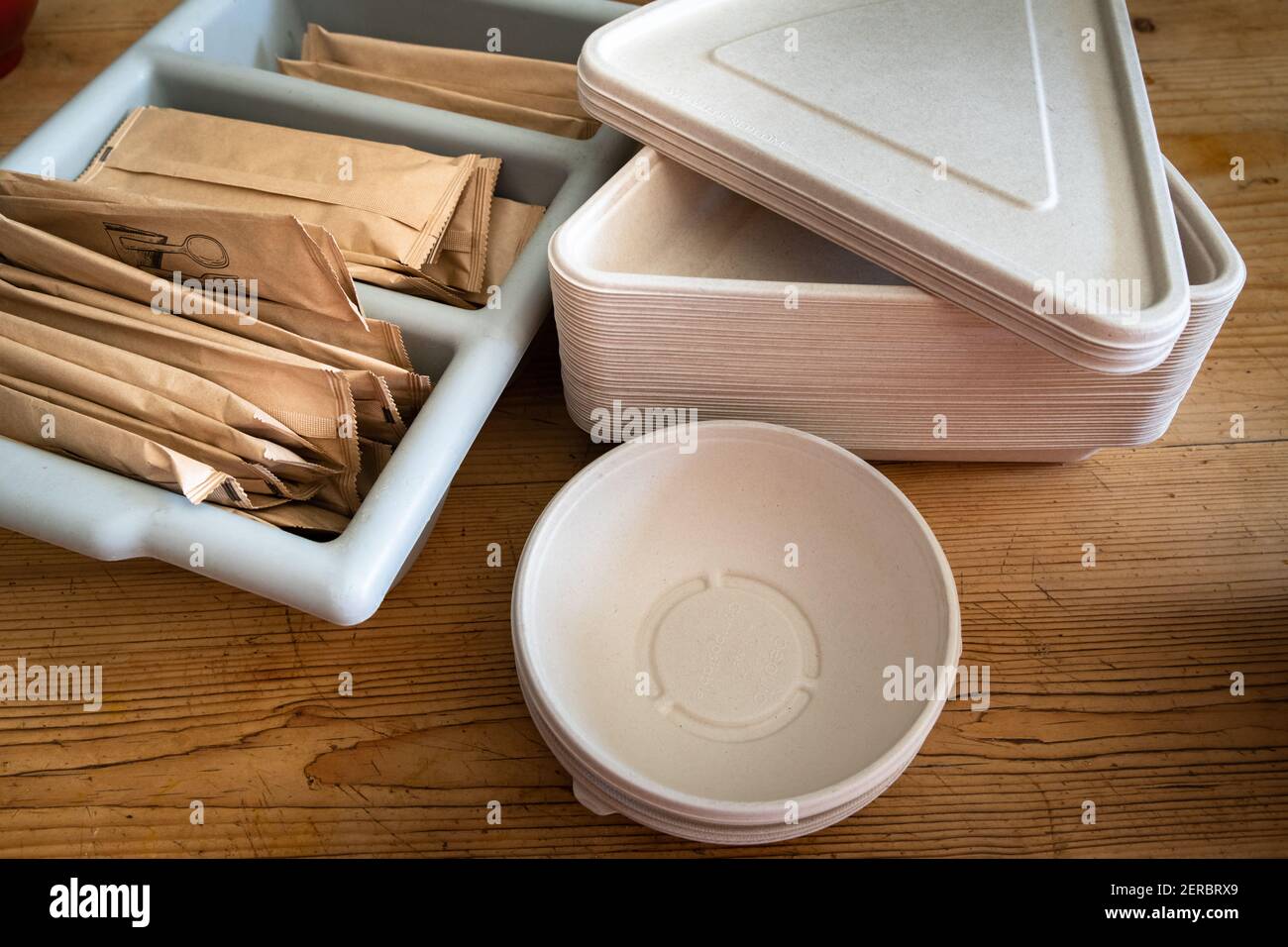 container, recyclable, bowl, tableware, plate, cardboard, disposable