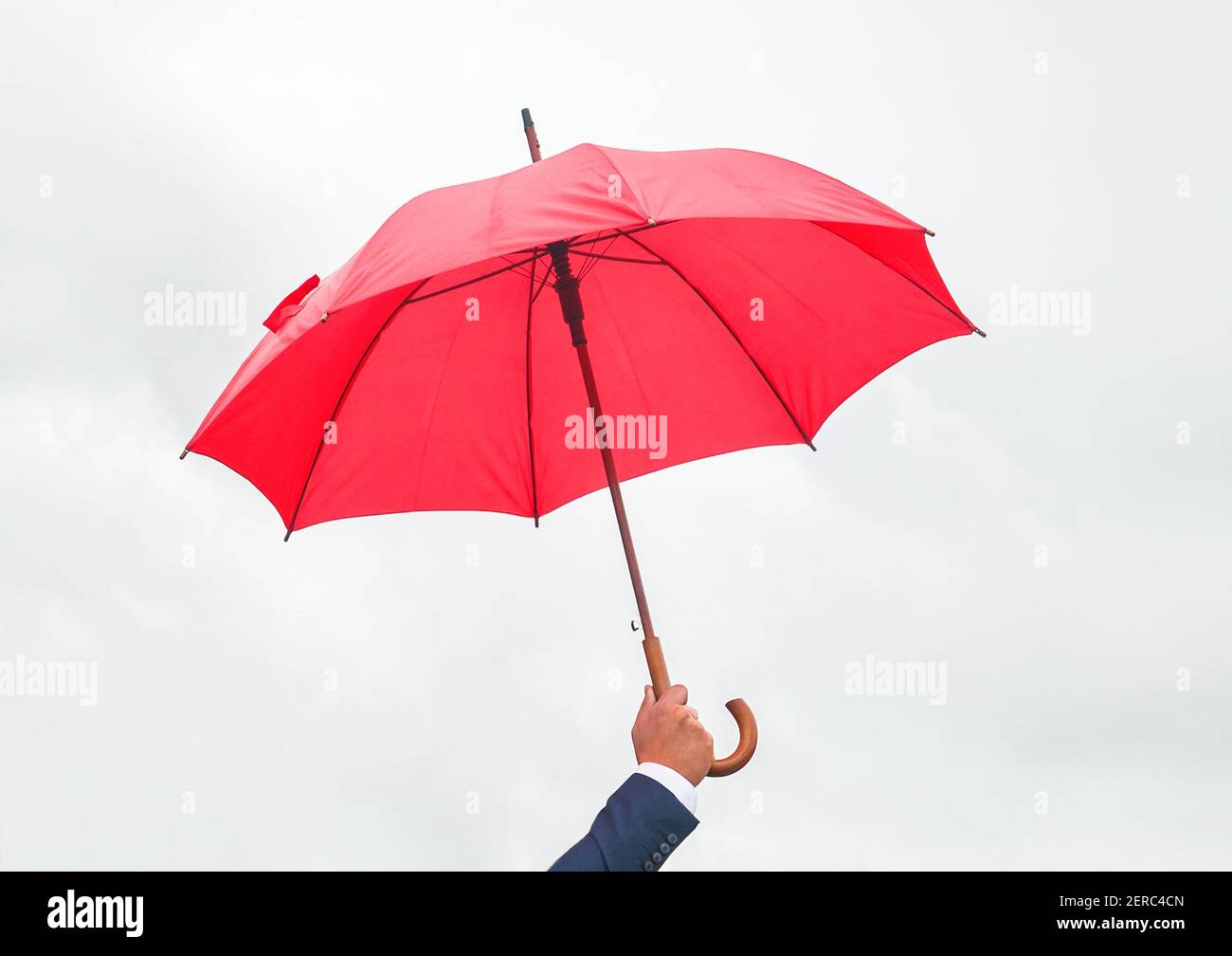 Hand holding hold umbrella hi-res stock photography and images - Alamy