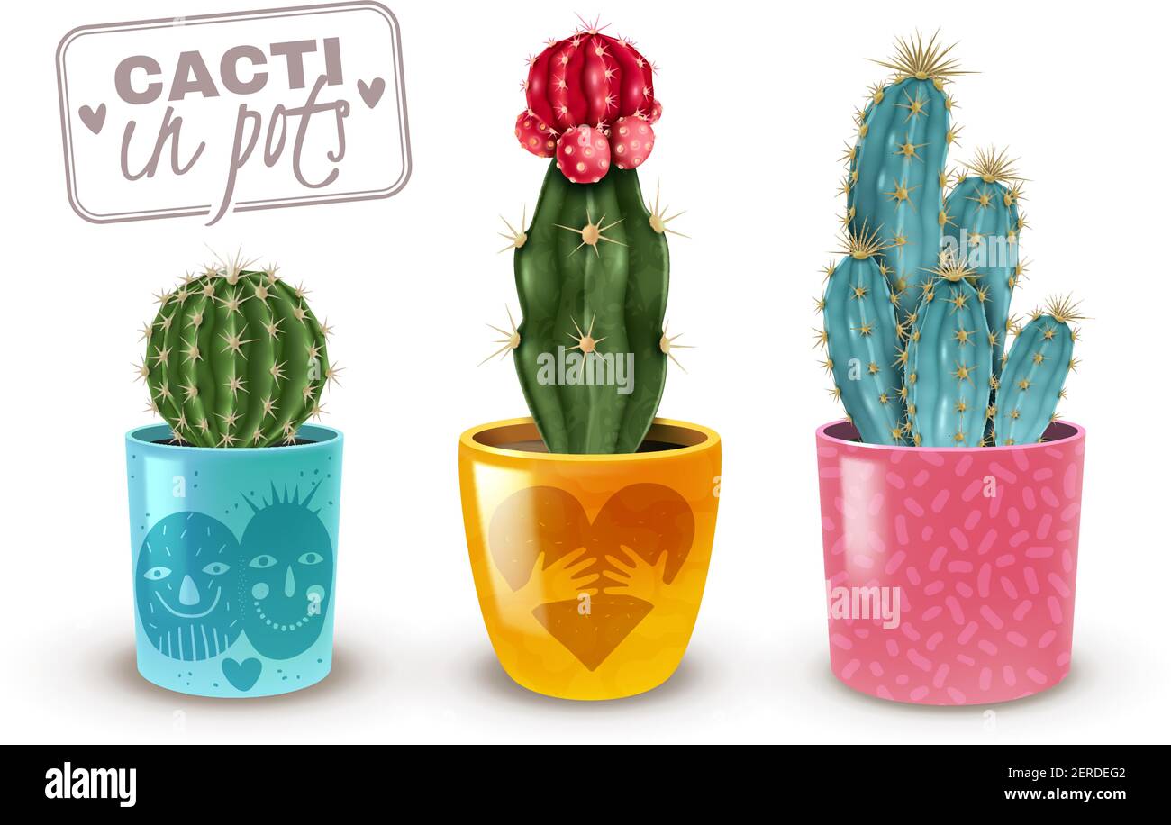 Cacti in colorful decorative pots realistic set of 3 popular easy care houseplants closeup isolated vector illustration Stock Vector