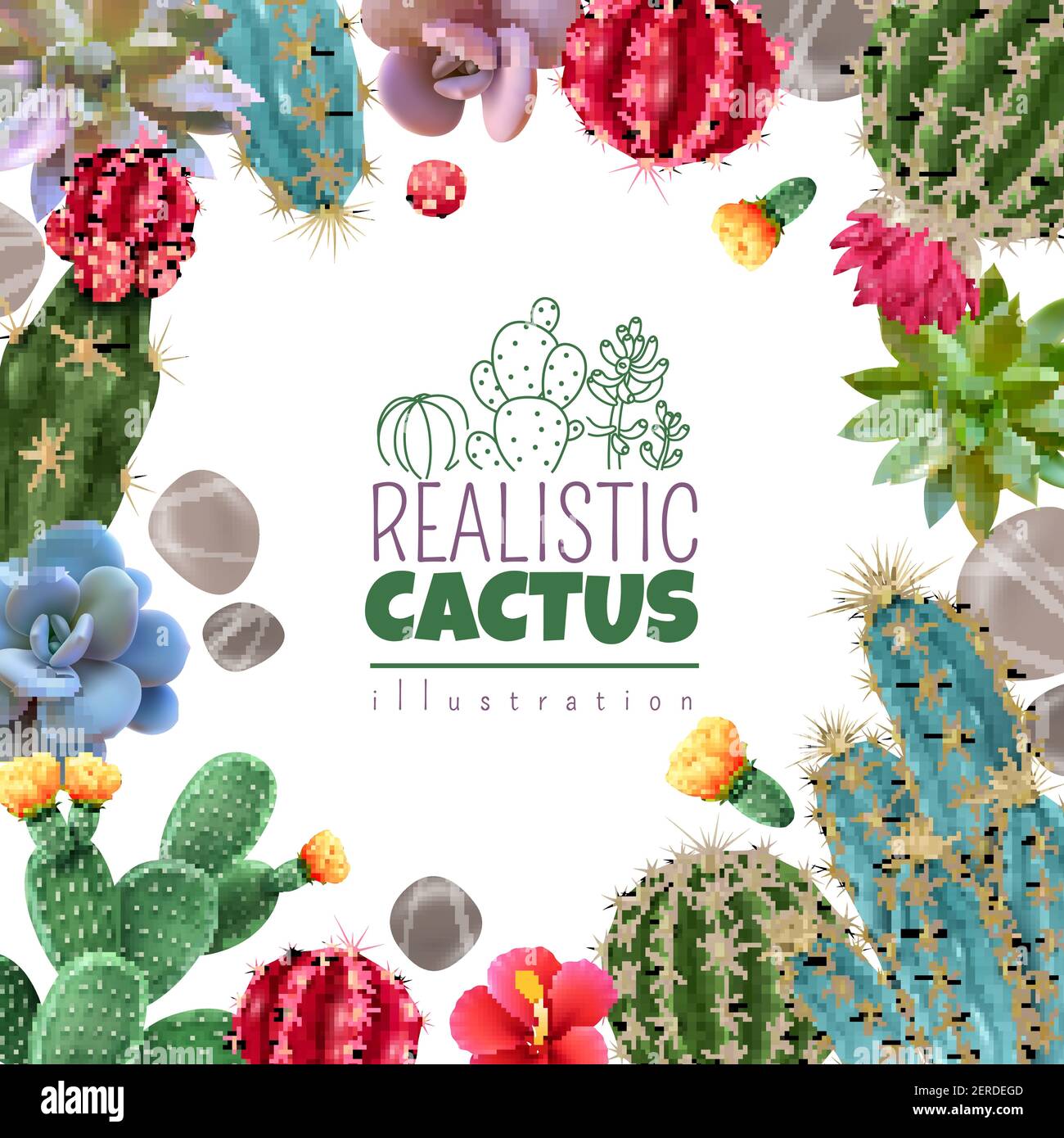 Blooming cacti and popular succulents varieties easy care decorative indoor plants realistic colorful square frame vector illustration Stock Vector