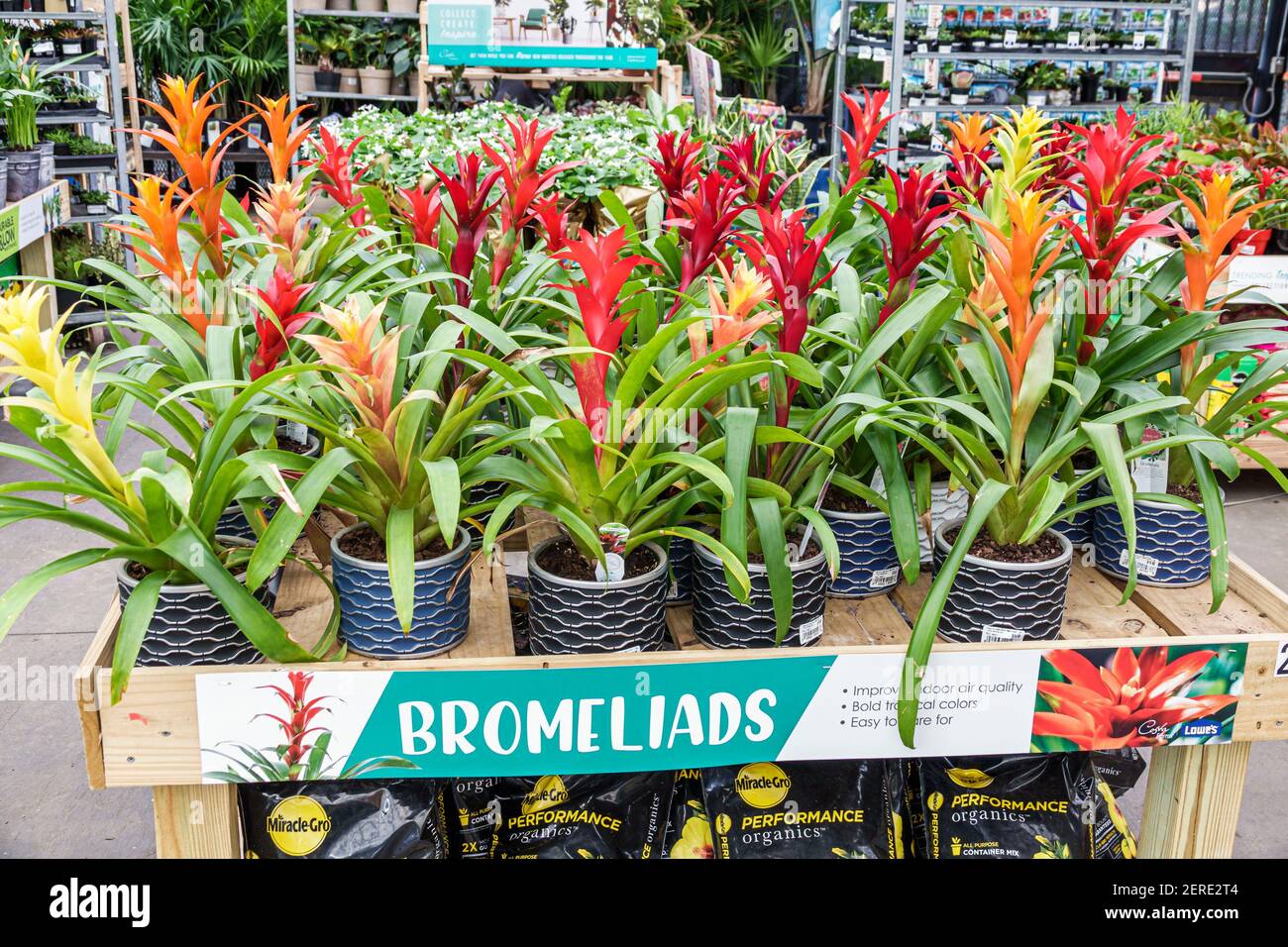 Lowes Garden High Resolution Stock Photography And Images Alamy