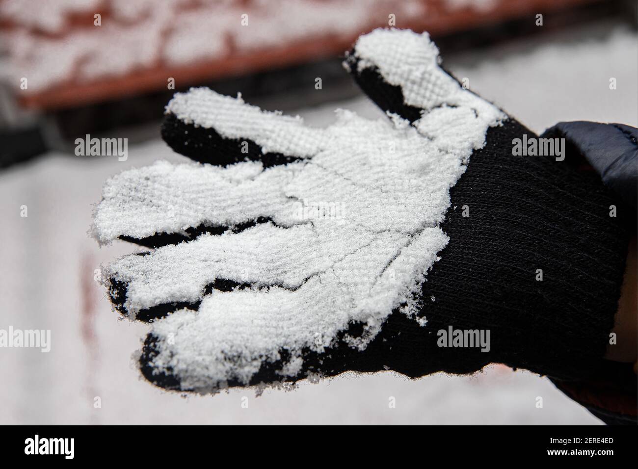 Black gloves on hands in the snow close up Stock Photo