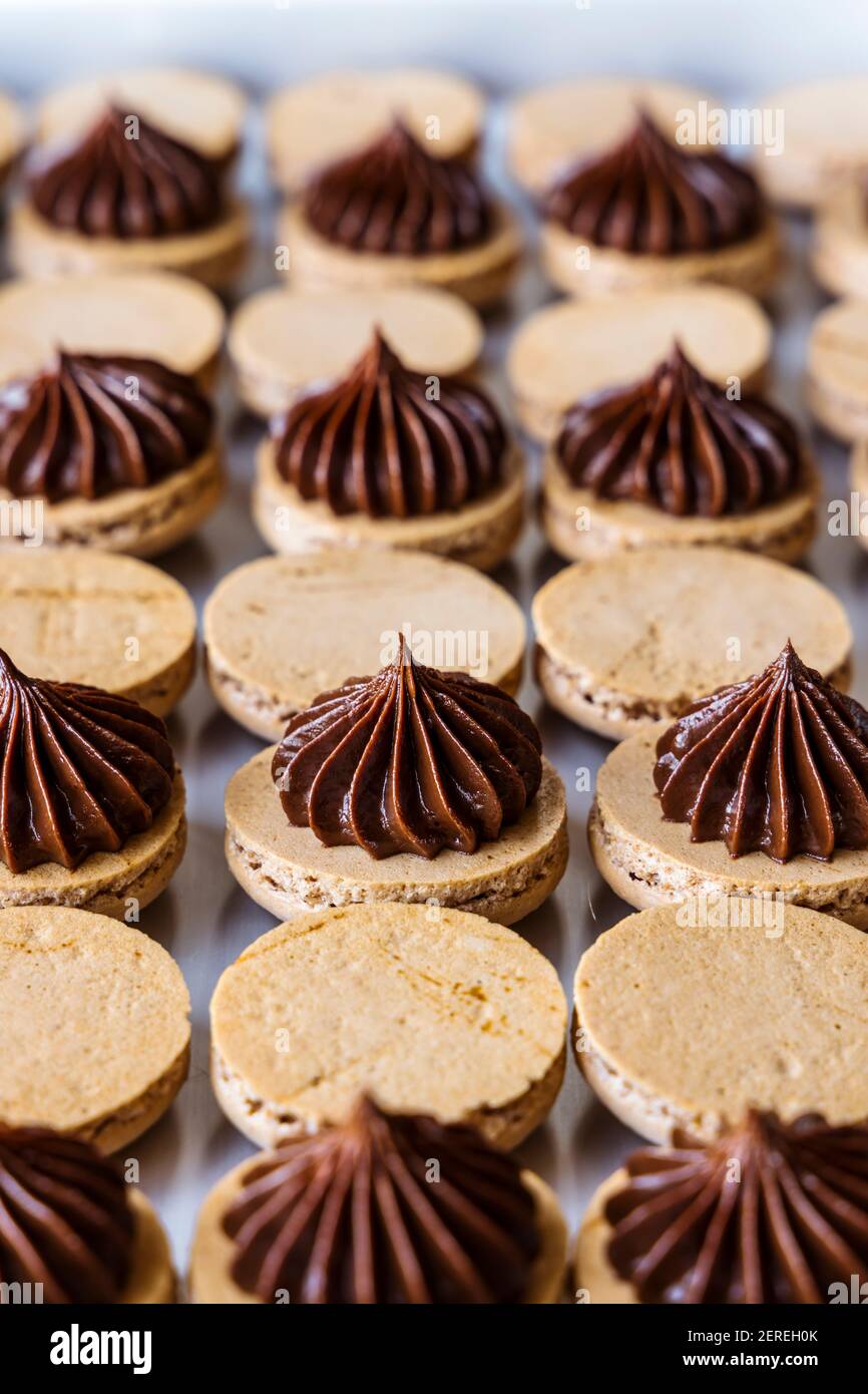 Filling french macarons with dark chocolate ganache Stock Photo Alamy